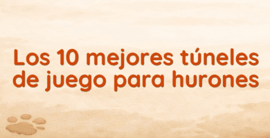 Los 10 mejores túneles de juego para hurones