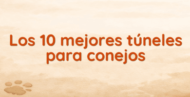 Los 10 mejores túneles para conejos
