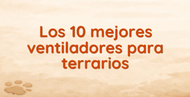Los 10 mejores ventiladores para terrarios Los 10 mejores ventiladores para terrarios